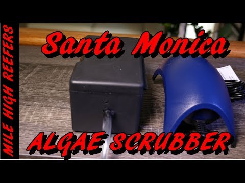 Reducing Water Changes with Santa Monica Drop Algae Scrubber