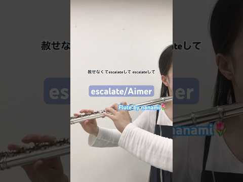 escalate/Aimer【演奏してみた】【フルート】