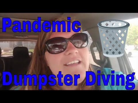 Pandemic Dumpster Diving | Donating Food to the Food Pantry