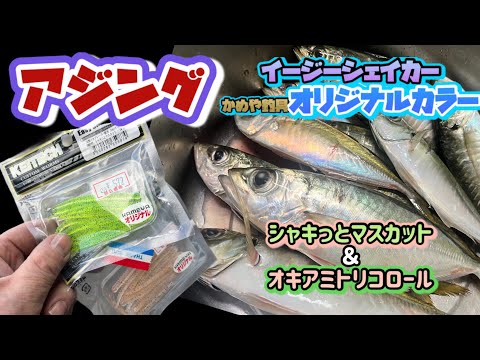 【アジング】イージーシェイカーかめや釣具オリジナルカラーを使ってみた【初場所】