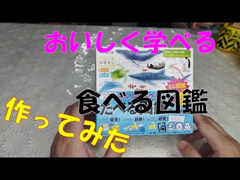 #51【作るお菓子】食べる図鑑　海編　作ってみた！