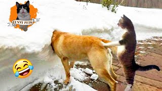 Funniest Animals 2023 😂 | Funny Animal Videos 2023Funny Cats and Dogs 🐱🐶