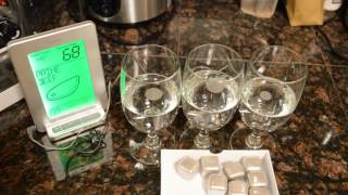 Tedren Stainless Steel Ice Cubes Gadget Review