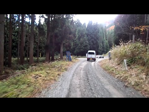 瀞川･氷ノ山林道(東尾根登山口→鵜縄分岐)@221106_144154