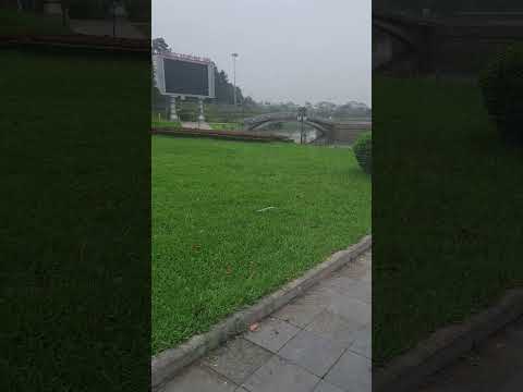 Vietnam Park #vietnam #satisfying #shortvideo #park