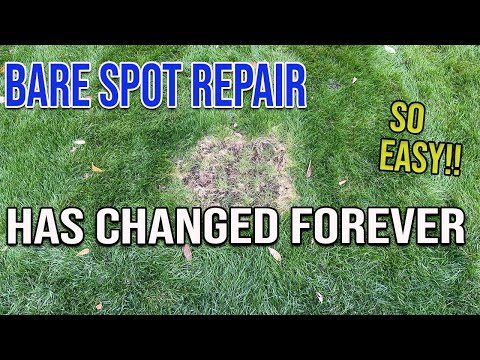 Bare spot repair has changed forever with THIS tool!