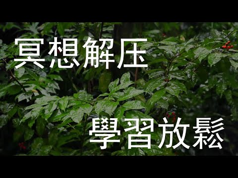 《432HZ 真實雨聲💧 開啟全方位療癒之旅》