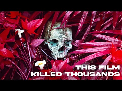 Kodak Aerochrome - The Film That KILLED Thousands