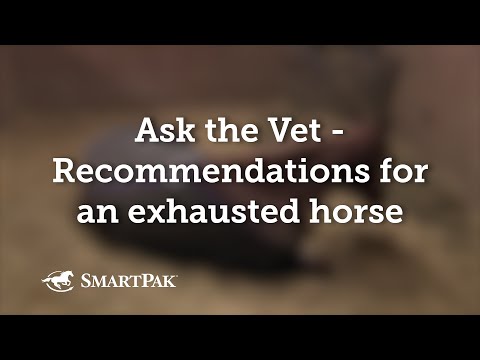 Ask the Vet - Recommendations for an exhausted horse