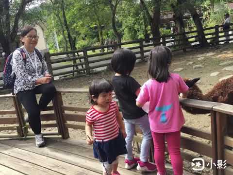 台北木柵動物園