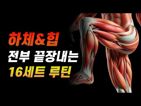 🔥하체 운동 루틴🔥헬스장에서 해야 할 필수 종목 BEST 4