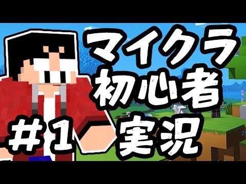 【マインクラフト】マイクラ初心者によるマインクラフト開拓史#1