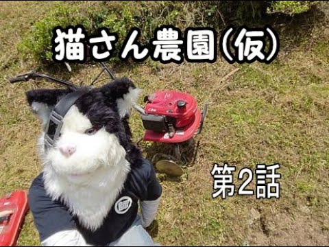 猫さん農園  第二話