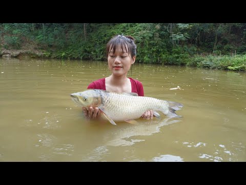 Girl harvests fish and sells it in the village - Catch fish, Unbelievable cast net fishing