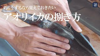 『アオリイカのさばき方』| 超簡単！誰でもできる魚の捌き方