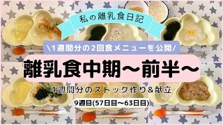 【離乳食中期】1週間分のストック作り&献立/フリージング離乳食/ハンドブレンダー使用/生後7ヶ月〜part1〜