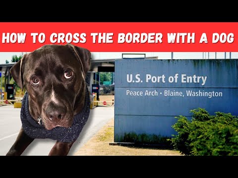 SHOCKINGLY Easy Canada Border Crossing 🇨🇦 (with a dog)