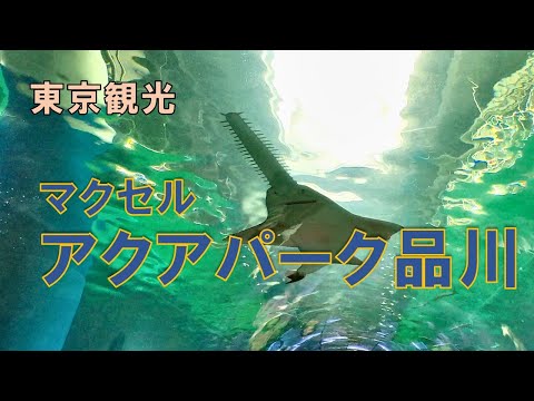 【東京観光】週末を利用し、品川駅近くの「マクセル アクアパーク品川」に行ってきました。