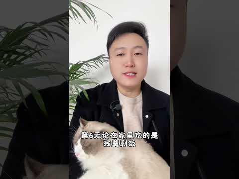 猫咪换主人，会伤心吗？养猫经验分享 科学养宠攻略 宠物维生素 养猫人 科学养宠攻略