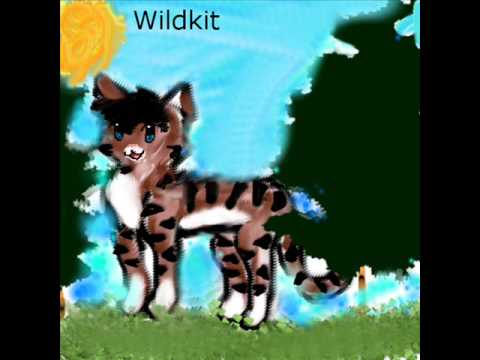 Wildkit (This is for Coyoteclaw11's video)