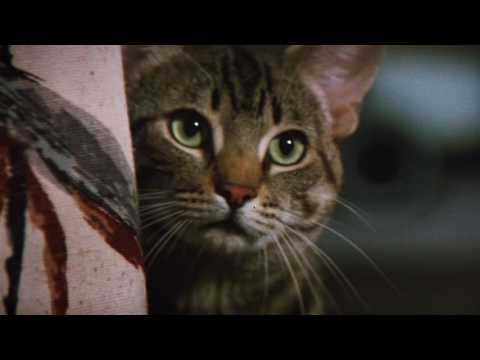 Stephen King's Cat's Eye - Original Theatrical Trailer