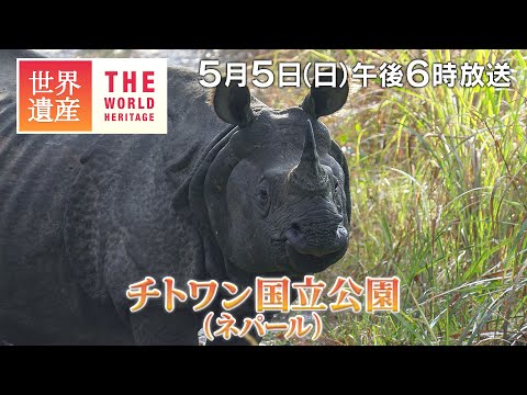 【TBS世界遺産】ヒマラヤの麓！絶滅危惧種の宝庫～チトワン国立公園（ネパール）【5月5日午後6時放送】