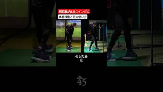 飛距離が出るスイングの体重移動と足の使い方 #片山晋呉 #golf #ゴルフ #shorts