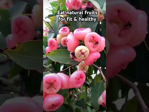 Eat natural fruits#eatrawfruits#fruits#foodies#asmrfruits#healthyfruits