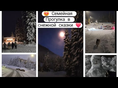 Семейный VLOG ❄️ СНЕГ | Интересный вечер 🌙История в конце | Природа Горы Красота ! #usa #сша #shorts