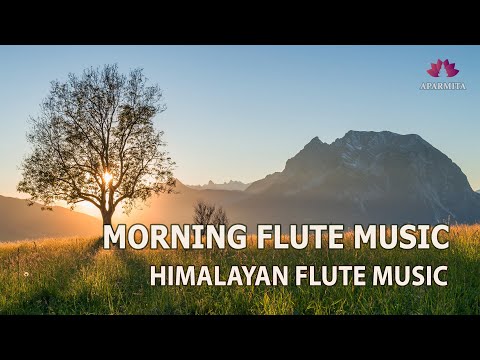 Morning Flute Music | Himalayan Flute Music | Meditation Music | (बाँसुरी) Aparmita Ep. 171