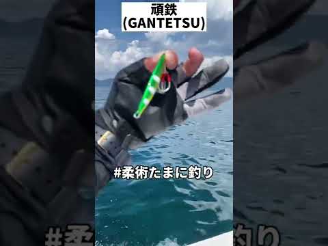 衝撃的に釣れるジグ!!!!#海釣り #釣り #船釣り #伊勢湾ジギング