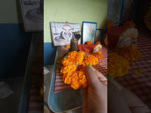 भोलेनाथ के प्रिया फुल# vakti #Mala #puja #vlog #short