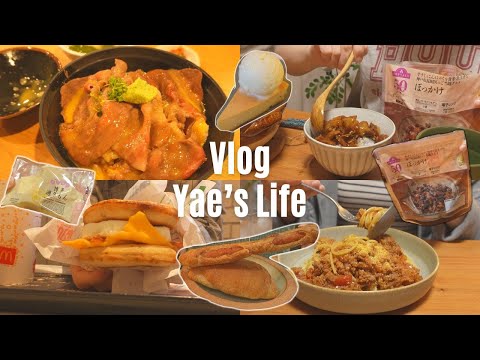 what i eat in a day in Japan🇯🇵 | cooking for oneself🍳 | Gyudon | McGriddle🍔 | Cafe☕