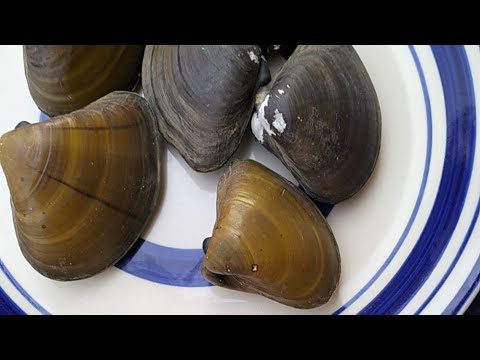 Clean Oyster with me like a Pro + African seafood Recipes || My Village Lifestyle