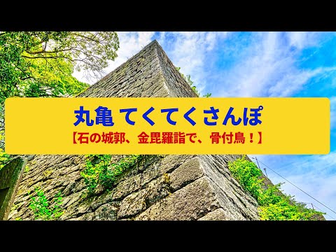 【てくてくさんぽ】丸亀 石の城郭と金毘羅詣での港〈丸亀城、金毘羅街道、骨付鳥〉Walk around Marugame,KAGAWA JAPAN