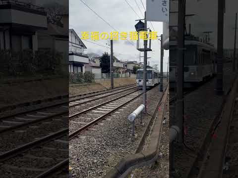 幸福の招き猫電車