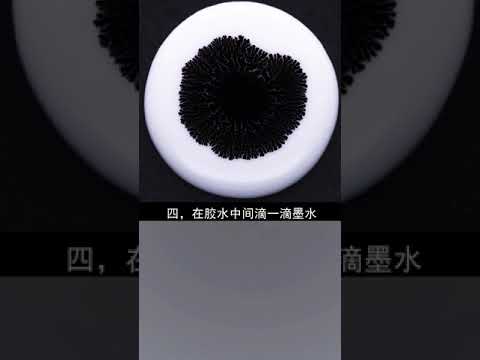 新奇百科 学会这些创意小实验，让孩子成为科学小达人！ #科学小实验 #科学实验 #物理趣味实验  @快手科普O