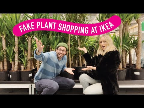 5 Tips to Shop for Fake Plants at Ikea