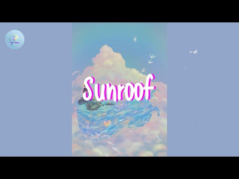 Nicky Youre - Sunroof (Lyric Video)