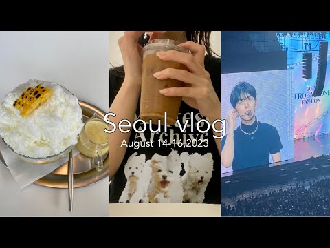 [vlog] 夏の一人韓国旅行 | 望遠| 狎鴎亭 | 梨泰院| 現代ソウル| ZB1ペンコンに参戦💘