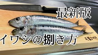 【2021版!!】【永久保存版】 これが一番簡単なイワシの捌き方!!