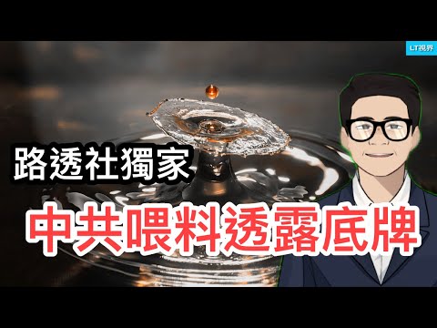 路透社獨家，中共喂料透露底牌，測試輿論反應；摩根斯坦利，習主席並非依據經濟狀況調整政策；經濟學人，默克爾挖了三個陷阱，德國不能自拔；