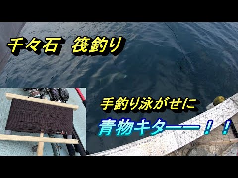 千々石　筏釣り　極太ラインの手釣りに挑戦！