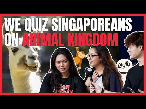 Unleashing Animal Trivia on the Streets of Singapore | Uncover65 Asks EP 37