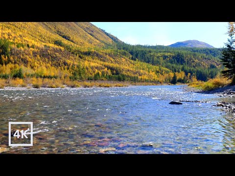 4K Autumn Mountain River | Relaxing Nature Scene | Peaceful Nature Sounds | Water Sounds White Noise