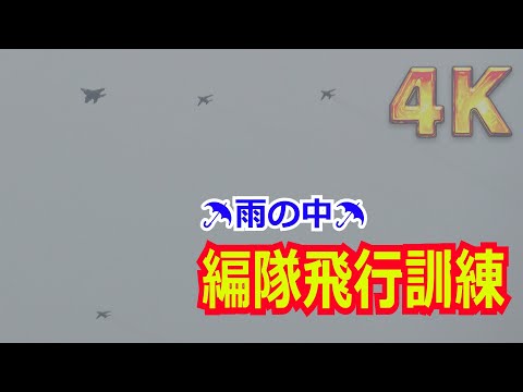 【4K】岐阜基地航空祭2024まで2週間！！雨が降るなか編隊飛行訓練を行うF-15&T-4（おまけアリ）2024/11/01【航空自衛隊】