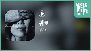 정미조 - 귀로 / 가사