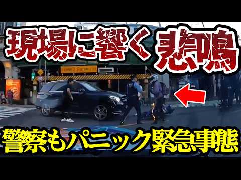 警察もパニック、現場に響く悲鳴、地面に叩きつけられた結果【ドラレコ】交通安全チャンネル【043】