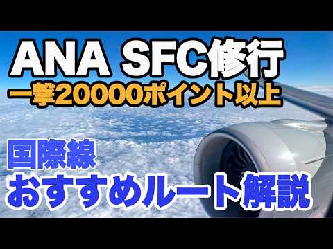 【国際線 SFC修行】国際線修行おすすめ路線 SFC修行 ANA修行 定番から意外な路線まで　ANA Overseas Tickets