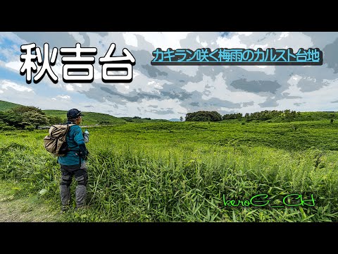 【秋吉台】カキラン咲く梅雨のカルスト台地 　SONY PZ16-35mmF4G 実戦初投入！